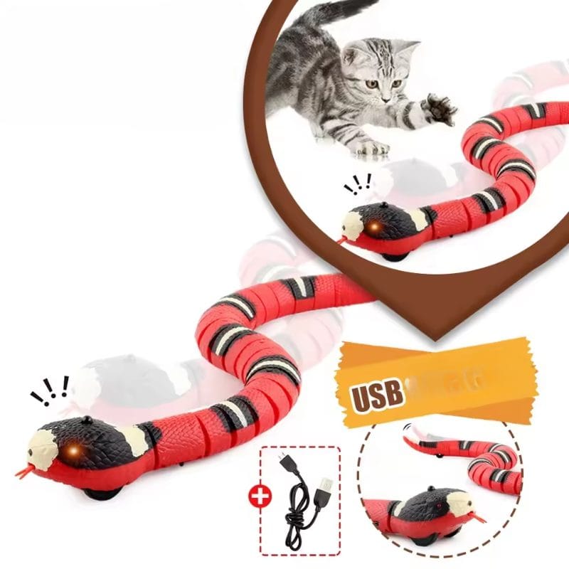 Jucarie Interactiva Sarpe RC, cu Incarcare USB, Miscare Realista in S, Senzatie Educativa si Distractiva pentru Animale de Companie, Perfect pentru Dezvoltarea Creativitatii si a Reflexelor, +6 Ani
