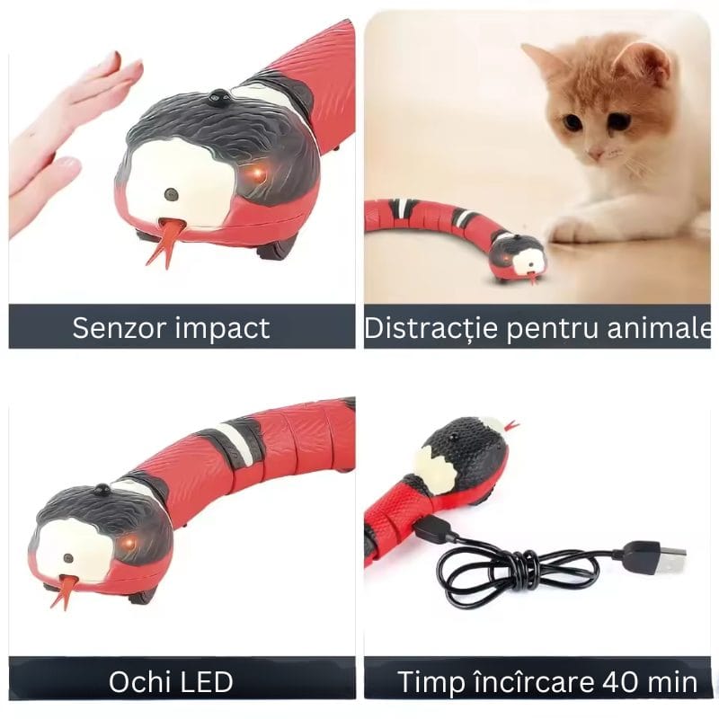 Jucarie Interactiva Sarpe RC, cu Incarcare USB, Miscare Realista in S, Senzatie Educativa si Distractiva pentru Animale de Companie, Perfect pentru Dezvoltarea Creativitatii si a Reflexelor, +6 Ani